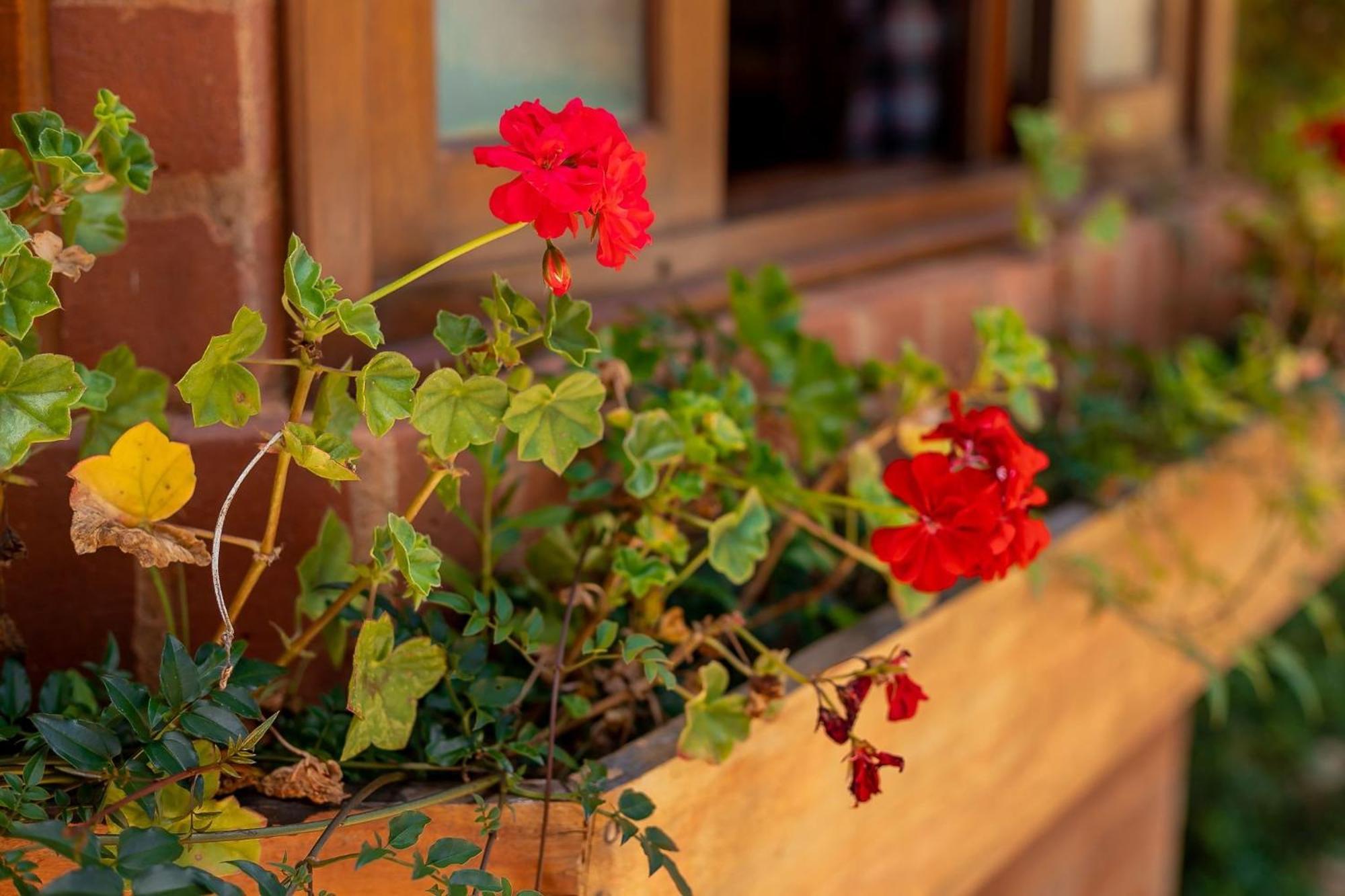 Guest house Da Mantiqueira - *